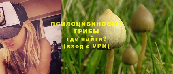 Альфа ПВП Богородск