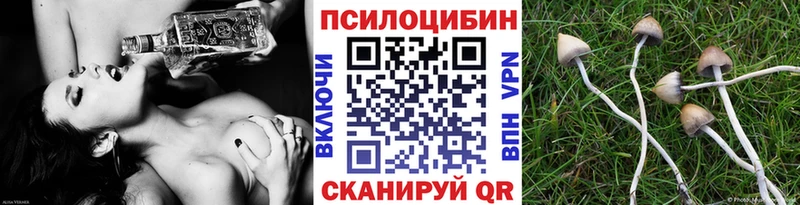 Галлюциногенные грибы Psilocybine cubensis площадка формула Котельники